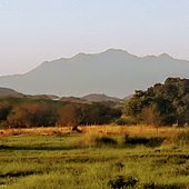 20220501_165128~2.jpg
