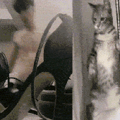 VAI DORMIR NA SOLITÁRIA.gif