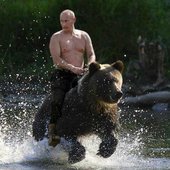 putingridingbear.jpg