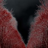 darknessway