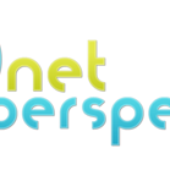 Awatar dla NetPerspective