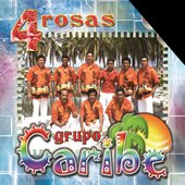 4 Rosas