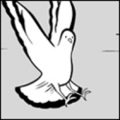 Avatar for AAssiduity