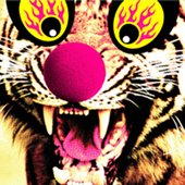 Buzztric Circus
