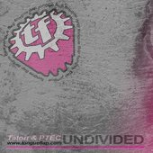 Undivided