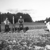 Funny Farm SWE Punk Rock2.png