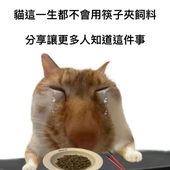 davidprospero 的头像