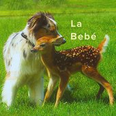 La Bebé