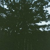 R-18668650-1620654474-9614.jpg
