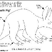 Awatar dla TheAardvaark