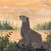 maestro collage otter