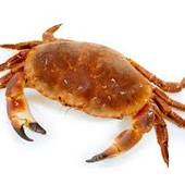 CCRABS 的头像