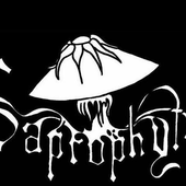 Avatar for SaprophyteCA