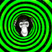Avatar for 3rdmonkey