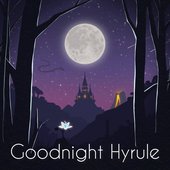 Goodnight Hyrule