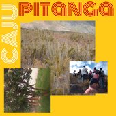 cajupitanga