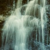 The Catchment