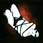 Avatar for Dream_Energy