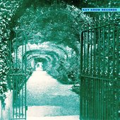 Moss Eats (the Silence She Left for Me)