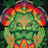 weedbringer için avatar