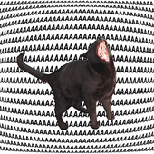 Avatar for ronronando