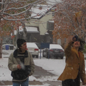 Picture1.png