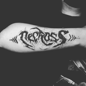 BlackNecross 的头像