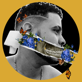 Avatar di Rhaanz