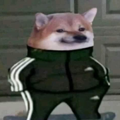 HxHL 的头像