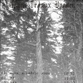Эхо Темных Времен II(2)