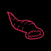LEECHES.png