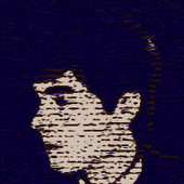 Avatar for turning_into