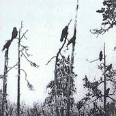 Les Corbeaux de mes Funérailles