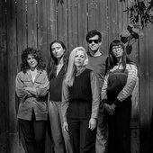 alvvays in new york times