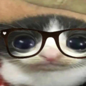 felypzz 的头像