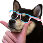 transglassesrevised.png
