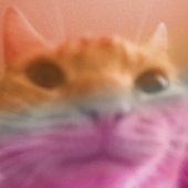 Avatar for PlusOneRabbit