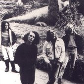 the wonder stuff