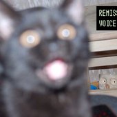Remission Voice
