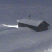 yukon pfp (2024)
