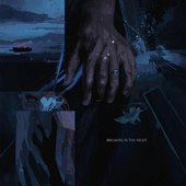 Breaking in the Night