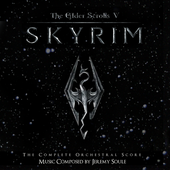 Skyrim Unofficial cover