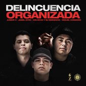 Delincuencia Organizada