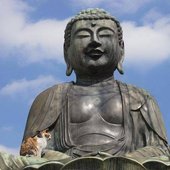 Buddha with cat 15.jpg