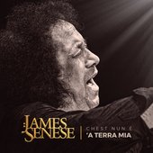 Chest nun è 'a terra mia