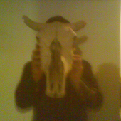 Avatar for Todoslosdolores