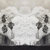 Ash Tapes gif