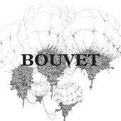 Bouvet