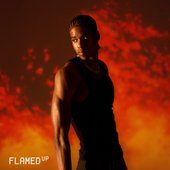FLAMED UP
