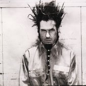 WAYNE STATIC